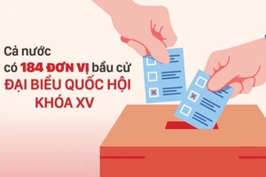 Cả nước có 184 đơn vị bầu cử đại biểu Quốc hội khóa XV