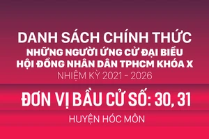 Đơn vị bầu cử số: 30, 31 (huyện Hóc Môn)