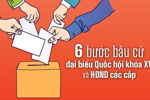 6 bước bầu cử đại biểu Quốc hội khóa XV và HĐND các cấp