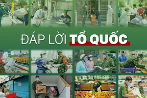 Đáp lời Tổ quốc