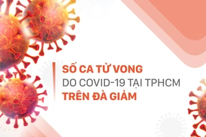 Số ca tử vong do Covid-19 tại TPHCM trên đà giảm