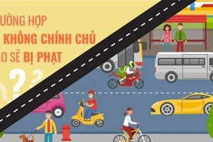 Trường hợp nào sẽ bị xử phạt khi đi xe không chính chủ?