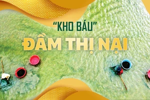 “Kho báu” Đầm Thị Nại