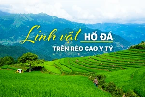 Linh vật Hổ đá trên rẻo cao Y Tý