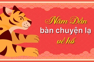 Năm Dần bàn chuyện lạ về hổ