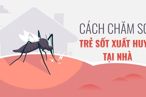 Cách chăm sóc trẻ sốt xuất huyết tại nhà