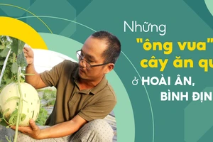 Những “ông vua” cây ăn quả ở Hoài Ân, Bình Định