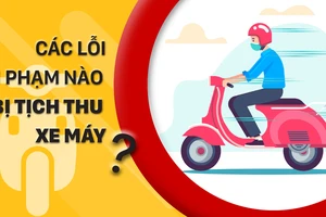 Các lỗi vi phạm nào bị tịch thu xe máy?