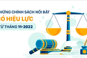 Những chính sách nổi bật, có hiệu lực từ tháng 11-2022