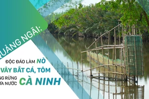 Quảng Ngãi: Độc đáo làm nò vây bắt cá, tôm trong rừng dừa nước Cà Ninh