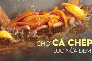 Chợ cá chép lúc nửa đêm 