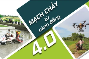 Mạch chảy từ cánh đồng 4.0