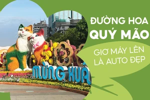 Đường hoa Quý Mão, giơ máy lên là auto đẹp