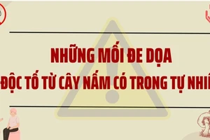 Những mối đe dọa độc tố từ cây nấm có trong tự nhiên