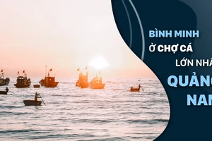 Sau một đêm đánh bắt gần bờ, hàng trăm tàu cá chuẩn bị cập bến. Ảnh: HOÀNG QUÂN