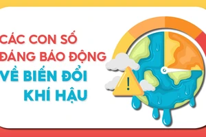 Các con số đáng báo động về biến đổi khí hậu