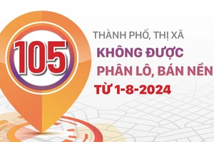 105 thành phố, thị xã không được phân lô, bán nền từ 1-8-2024