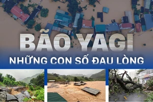 Bão Yagi - Những con số đau lòng