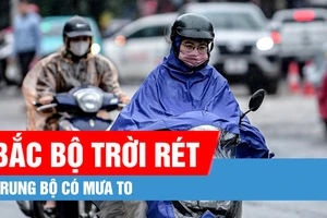 Bắc bộ đêm và sáng trời rét, Trung bộ có mưa to