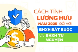 Cách tính lương hưu năm 2025 đối với BHXH bắt buộc và BHXH tự nguyện