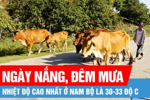 Nam bộ ngày nắng, đêm mưa