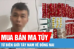 Triệt phá đường dây mua bán trái phép ma túy từ biên giới Tây Nam về Đồng Nai 