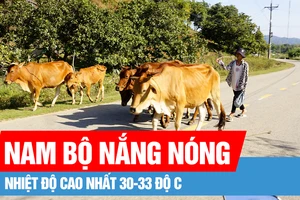 Bắc bộ mưa rét, Nam bộ nắng nóng