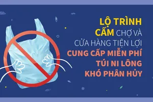 Lộ trình cấm chợ và cửa hàng tiện lợi cung cấp miễn phí túi ni lông khó phân hủy
