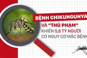 Bệnh Chikungunya _ “thủ phạm” khiến 5,6 tỷ người có nguy cơ mắc bệnh