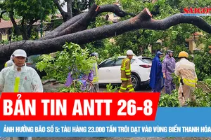 Bản tin ANTT 26-8: Cây xà cừ cổ thụ bật gốc, đè bẹp ô tô trước cổng Bệnh viện Xanh Pôn