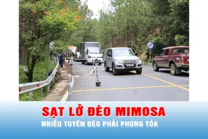 Podcast bản tin 17 giờ 18-11: Sạt lở dài 20m tại đèo Mimosa, nhiều tuyến đèo phải phong tỏa 