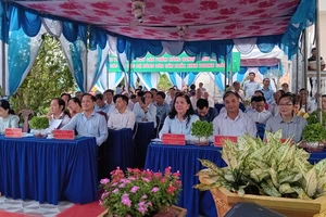 Nông dân TPHCM đẩy mạnh chuyển đổi số 