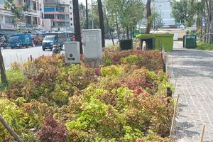 Đổi thay ở Công viên Thăng Long 