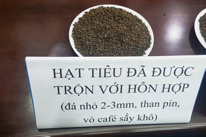 Truy tố 5 bị can trong vụ tiêu "pin"