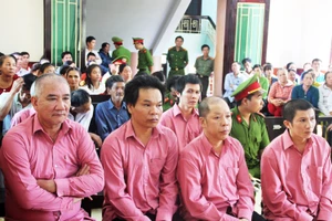 Phiên xét xử thứ 2 "đại án" phá rừng Bình Định: Trả hồ sơ yêu cầu cơ quan điều tra bổ sung