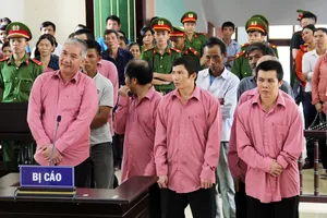 Phá rừng quy mô lớn, 9 bị cáo bị phạt 81 năm tù, buộc bồi thường 4,7 tỷ đồng