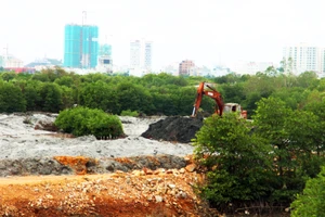 Thu hồi quyết định cho thuê đất, giao đất của Công ty CP Thị Nại Eco Bay