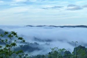 Chủ tịch UBND tỉnh Bình Định chỉ đạo kiểm tra, xử lý thông tin “chặt chém” du khách ở Cổng Trời