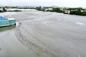 Vụ bãi bùn thải "vây hãm" khúc sông: Buộc 2 doanh nghiệp khắc phục, trả lại sinh thái