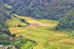 Mê hoặc với vẻ đẹp của Kon Tu Rằng trên cao nguyên Măng Đen
