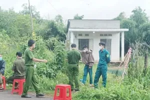 Ảnh minh họa