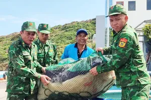 Gia Lai sẵn sàng sơ tán hàng trăm ngàn dân trước bão số 13