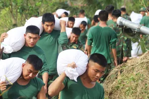 Nghe tin bão số 15, bộ đội "chạy đua" nối đê ở hạ du sông Hà Thanh