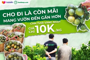 Cam sành miền Tây lên Lazada với giá 10.000 đồng/kg