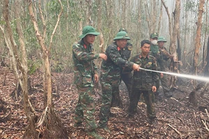 Lực lượng chức năng chữa cháy rừng tràm tại huyện Giang Thành, tỉnh Kiên Giang mùa khô năm 2024. Ảnh: Thành Nhơn