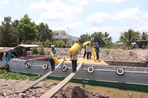 Tăng sức cạnh tranh cho nông sản Việt - Bài 4: Giải pháp phải đồng bộ, quyết liệt