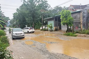 Bình Định: Nhiều đường dân sinh hư hỏng nặng
