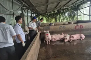 Kỷ luật cán bộ thú y liên quan vụ thịt heo C.P