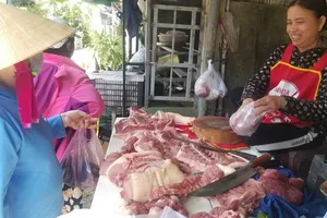Khẩn cấp ngăn chặn dịch tả heo châu Phi lan rộng: Phải dập dịch nhanh nhất có thể