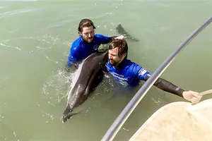 Liên minh bảo vệ sự sống đại dương